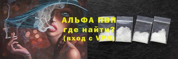 индика Гусев