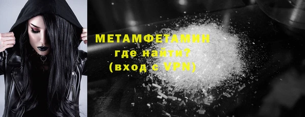 индика Гусев