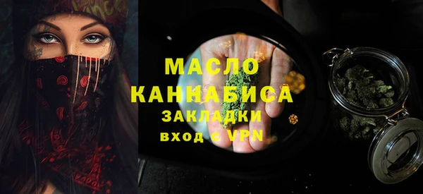 индика Гусев