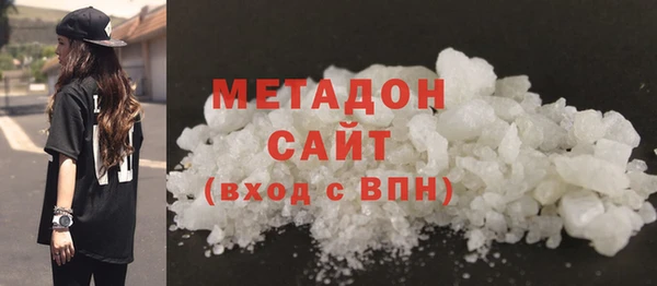 индика Гусев