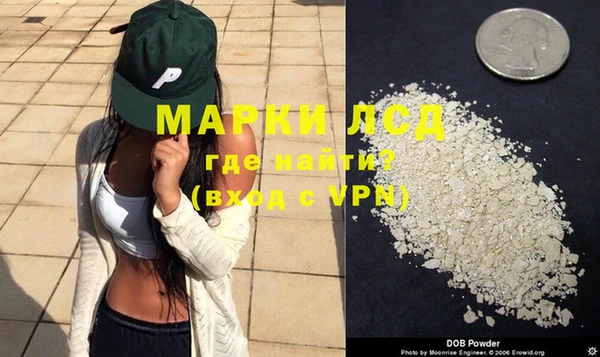 индика Гусев