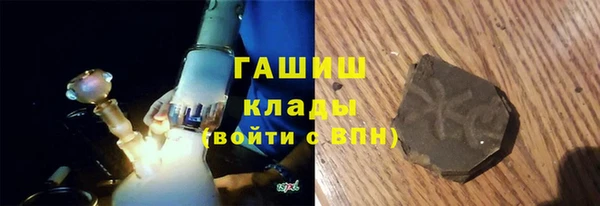 индика Гусев