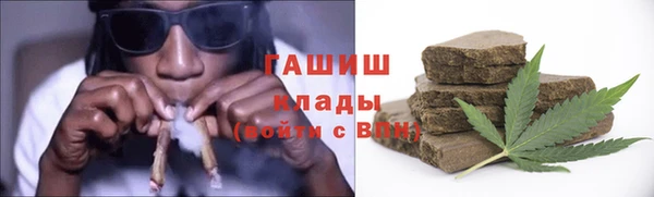 индика Гусев