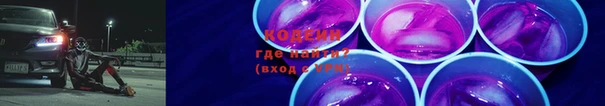 индика Гусев