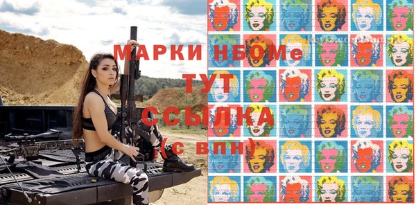 индика Гусев