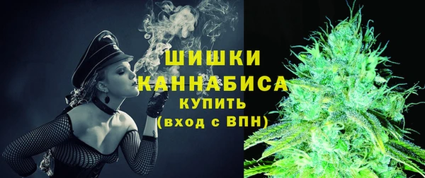 индика Гусев