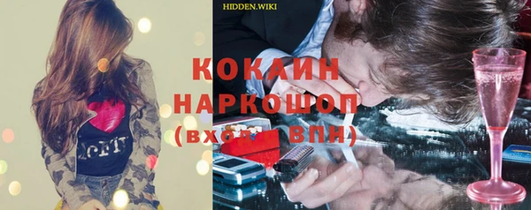индика Гусев