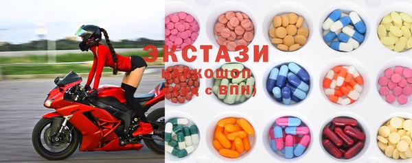 индика Гусев