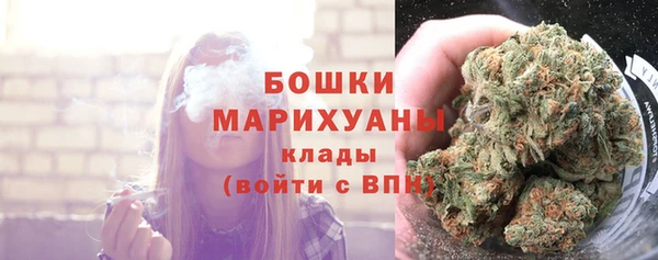 индика Гусев