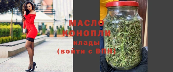 индика Гусев