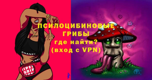прущая мука Гусиноозёрск