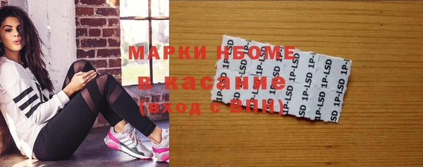 индика Гусев