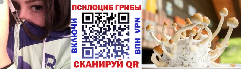 Галлюциногенные грибы Magic Shrooms  Купить  Семёнов 